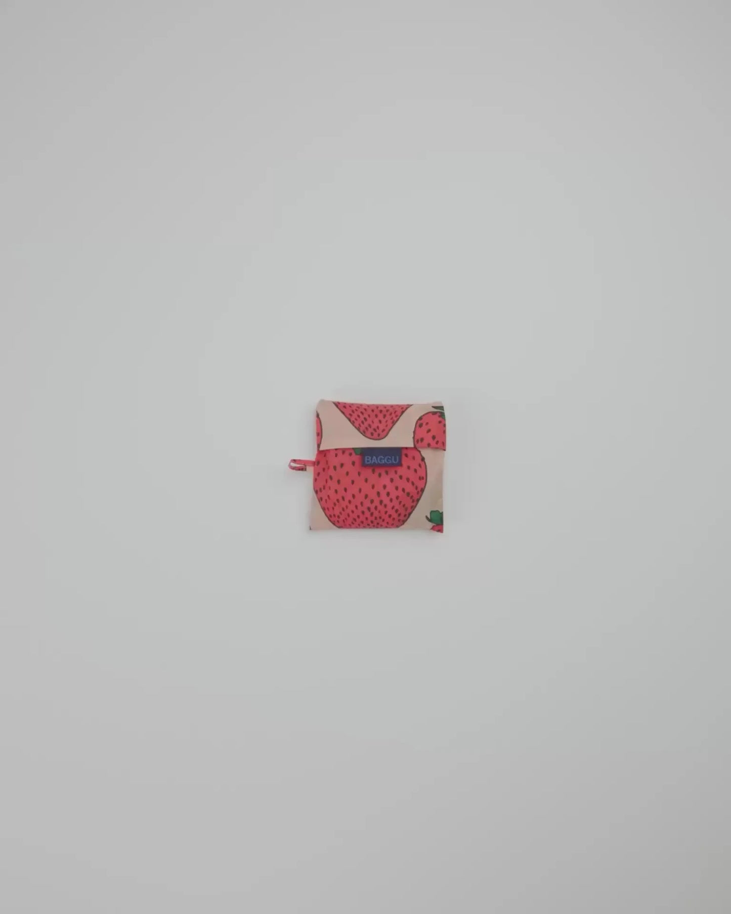 STANDARD BAGGU - US 7337